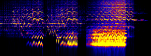 Varuo melodic range spectrogram, time X frequency (log)